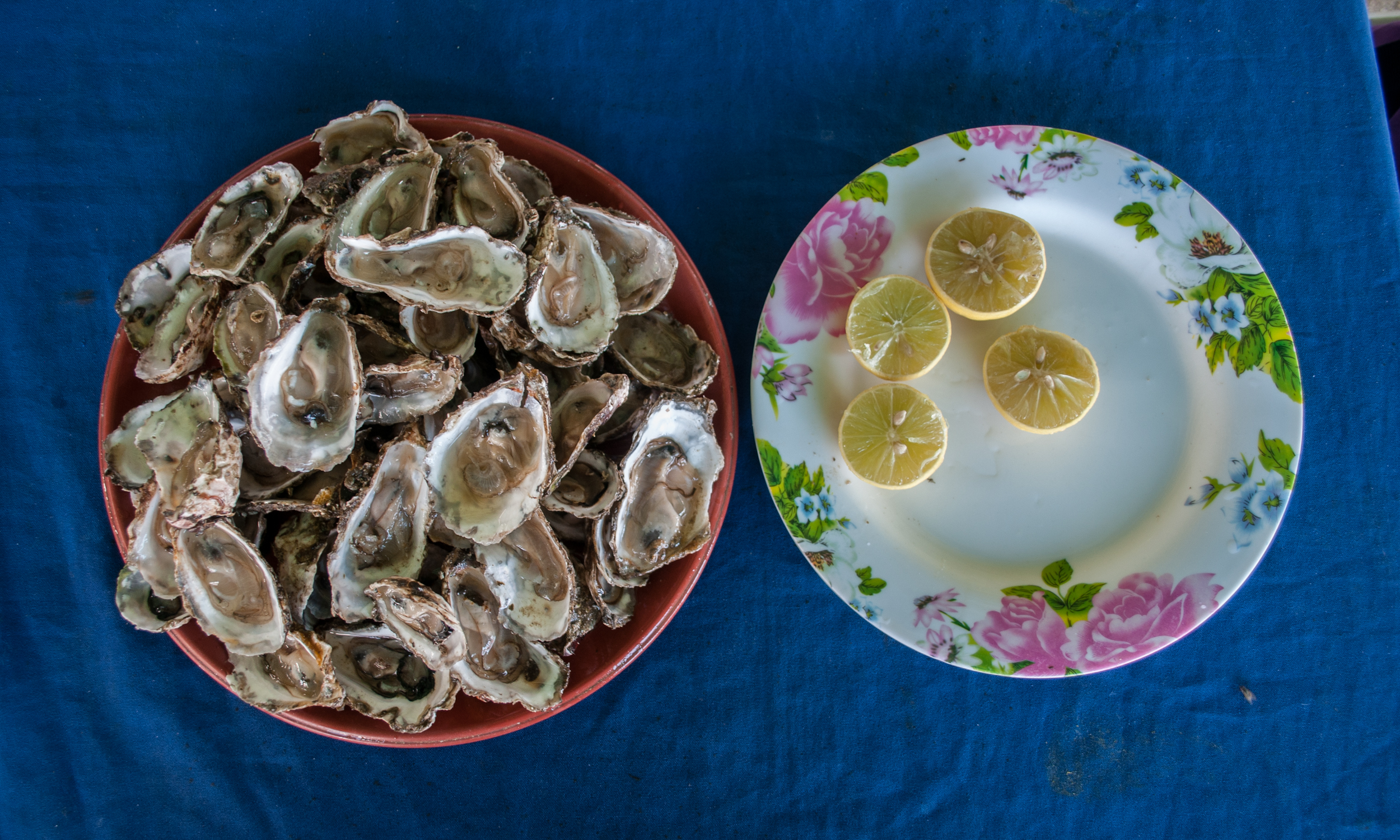 Huîtres à Paris : le guide pour bien les choisir et les déguster à 1 €